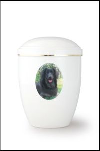 Plastisches Fotomedaillon Art.-Nr. 20797 - 49,50 Euro